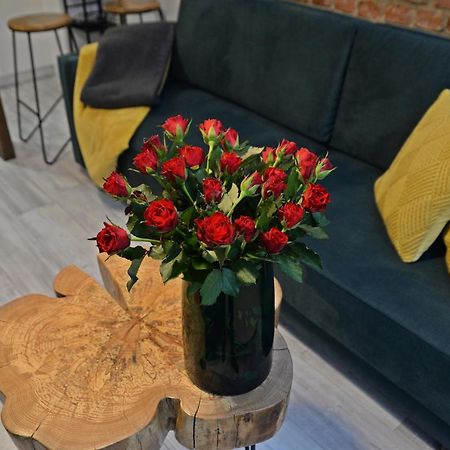 Appartement Loft Maly à Kościerzyna Extérieur photo